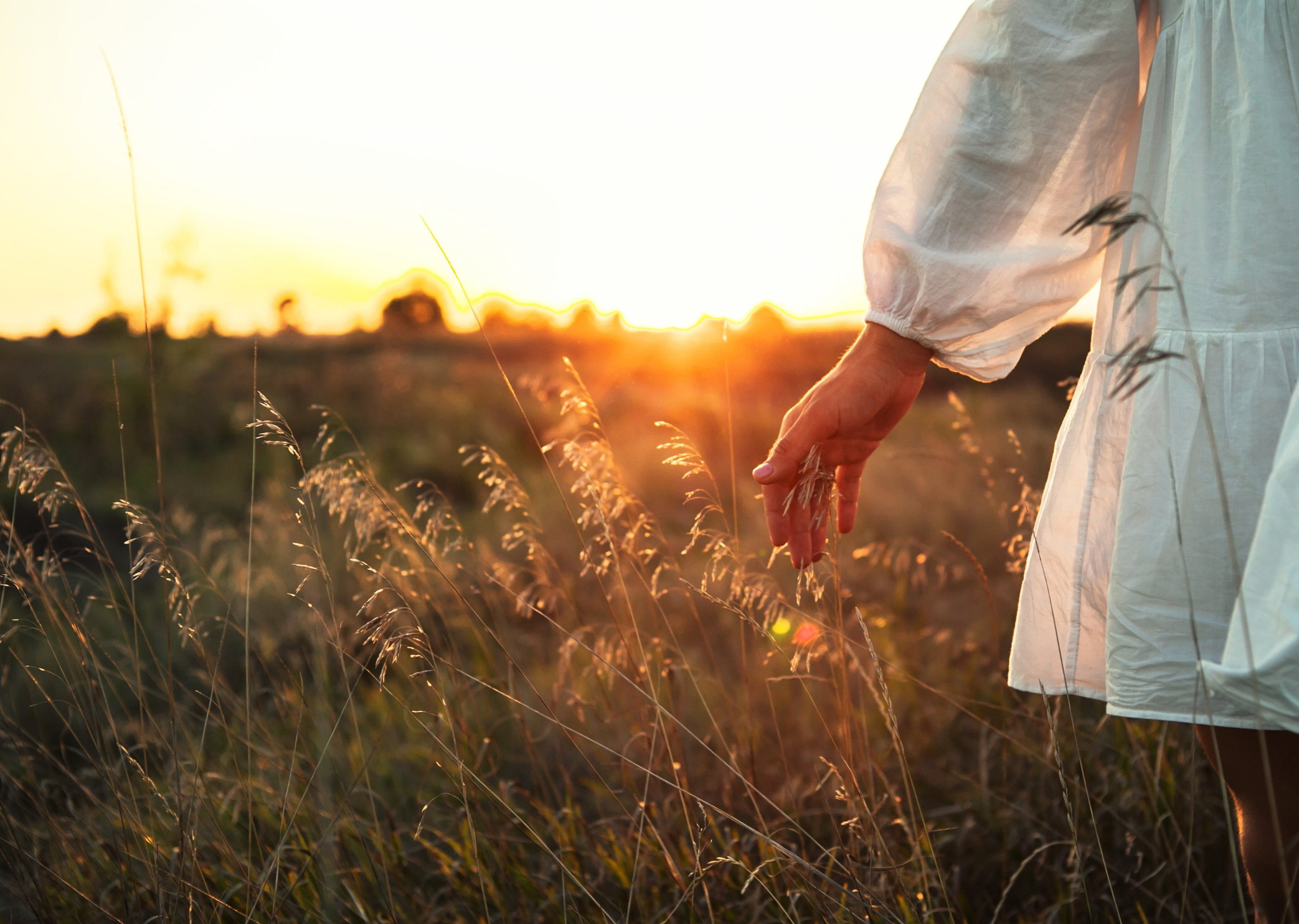 empowering your purpose